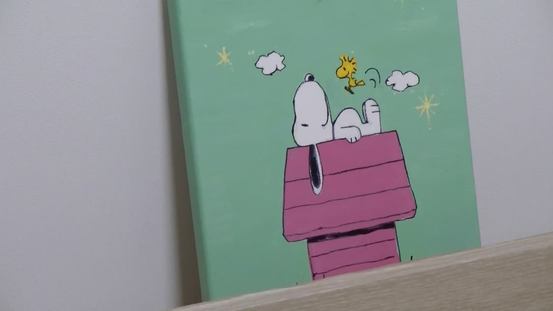 풀구성 JVC GZ-V590 핑크캠코더 빈티지캠코더 핑크디카 빅터 소니 상품이미지9