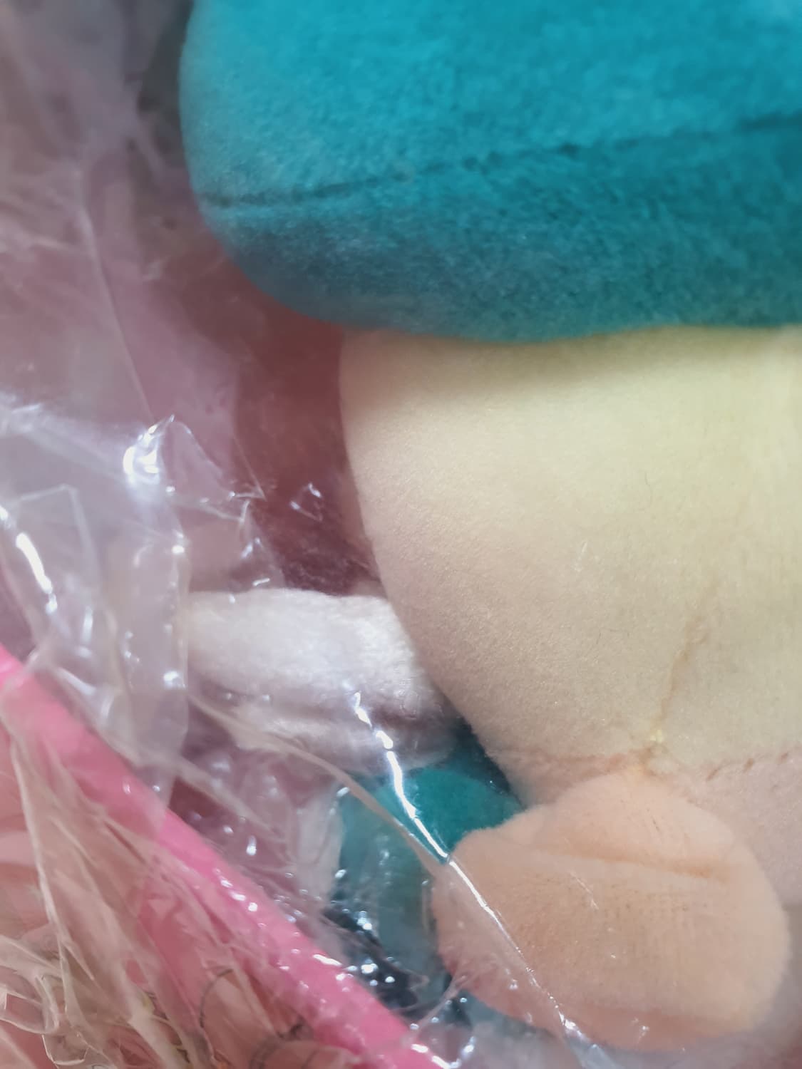 미개봉) 고전 희귀 신비한 별의 쌍둥이 공주 레인 큐큐 천사 봉제인형 상품이미지9