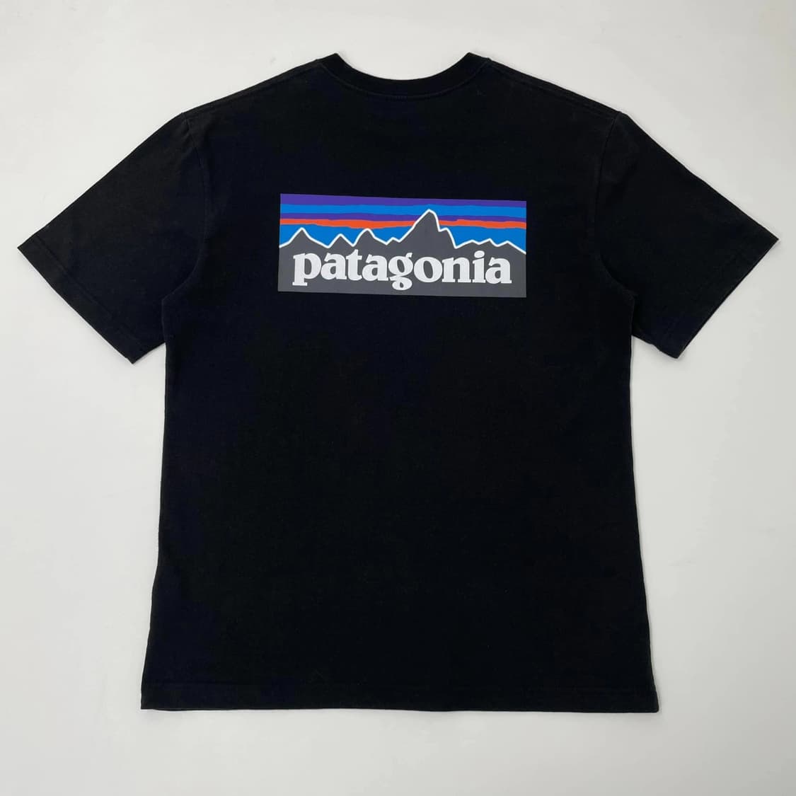 파타고니아 반팔티 상품이미지1