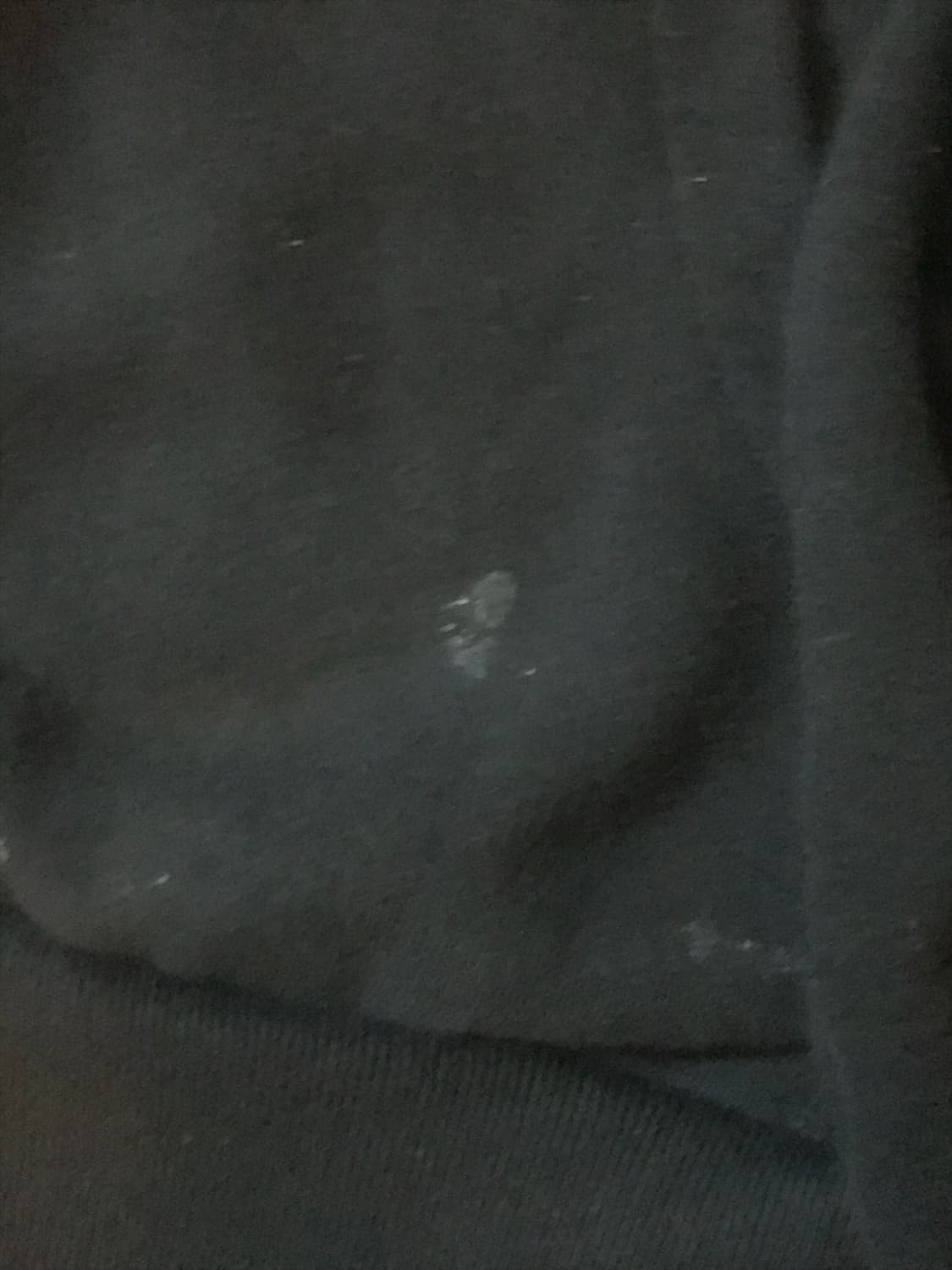 히스테릭 글래머 후드집업 XL 상품이미지6