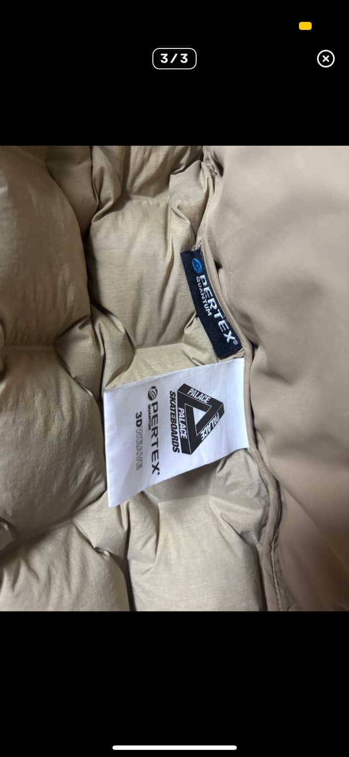 palace 22fw 퍼텍스 워크 다운 상품이미지3