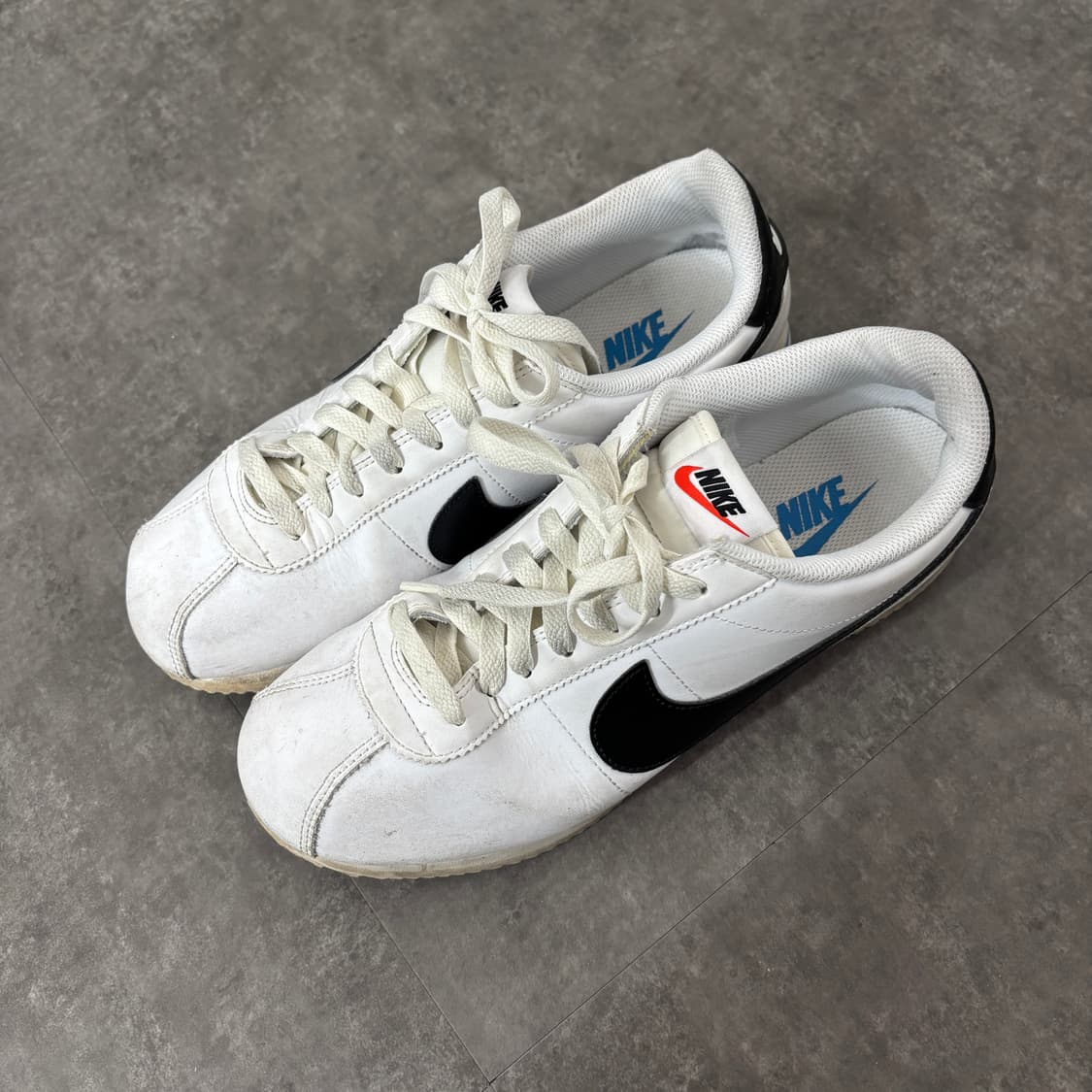 코르테즈 270 상품이미지3