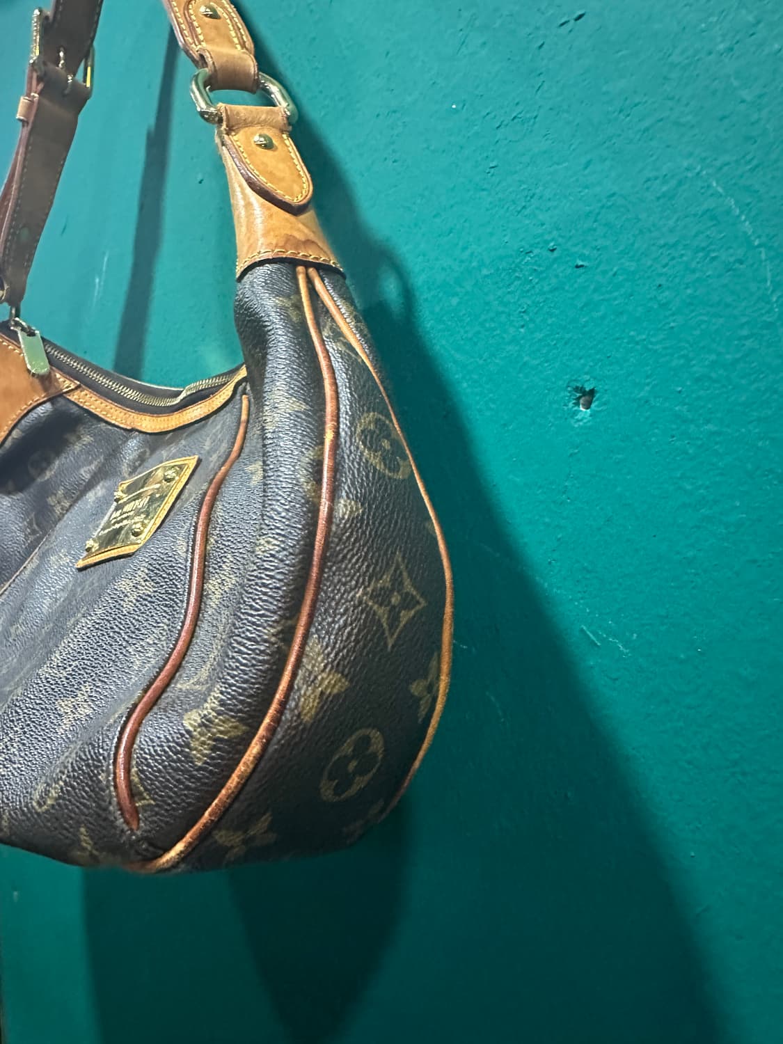 루이비통 템즈 호보백 정품보증서있음 상품이미지3