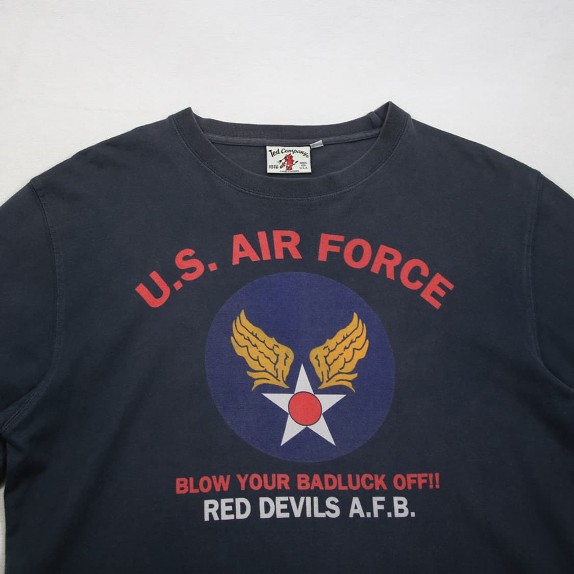 (착용컷) TED COMPANY U.S.A.F. 롱 슬리브 (103) 상품이미지5
