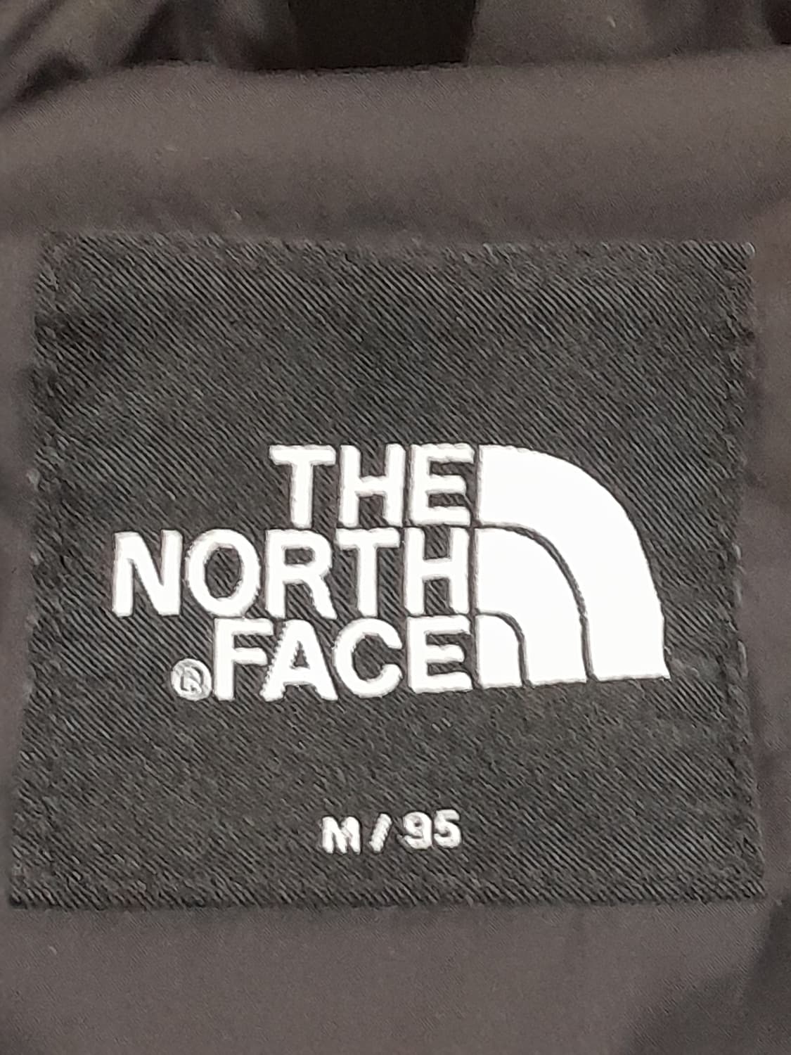 눕시 1996 에코 95 상품이미지4