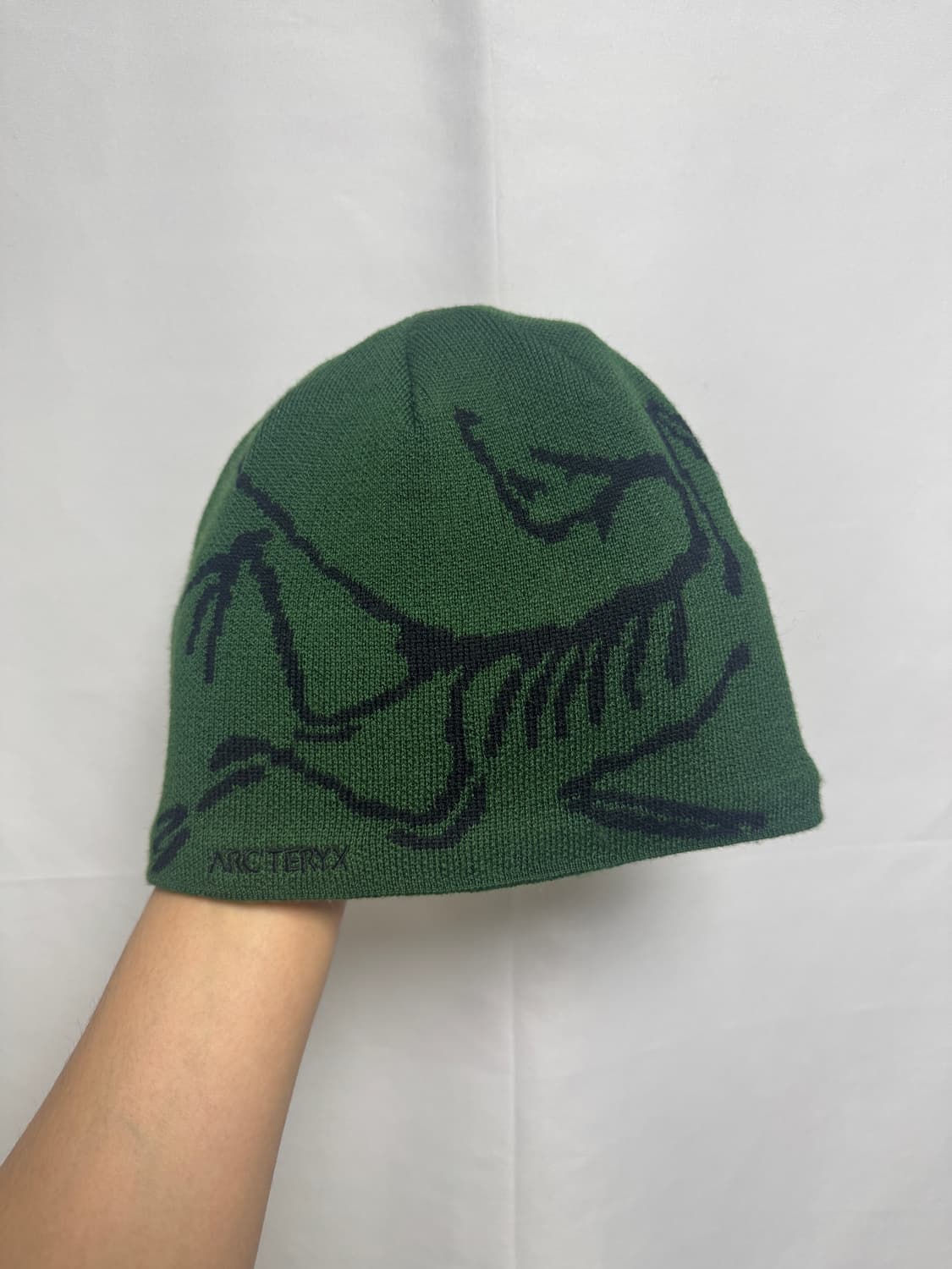 [F] 아크테릭스 버드 헤드 토크 비니 EDEN BLACK 상품이미지1