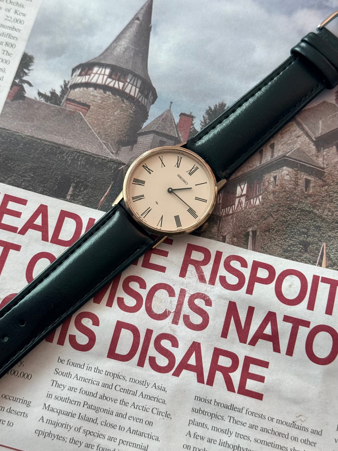 세이코 Seiko 샤리오 골드 수동  상품이미지2