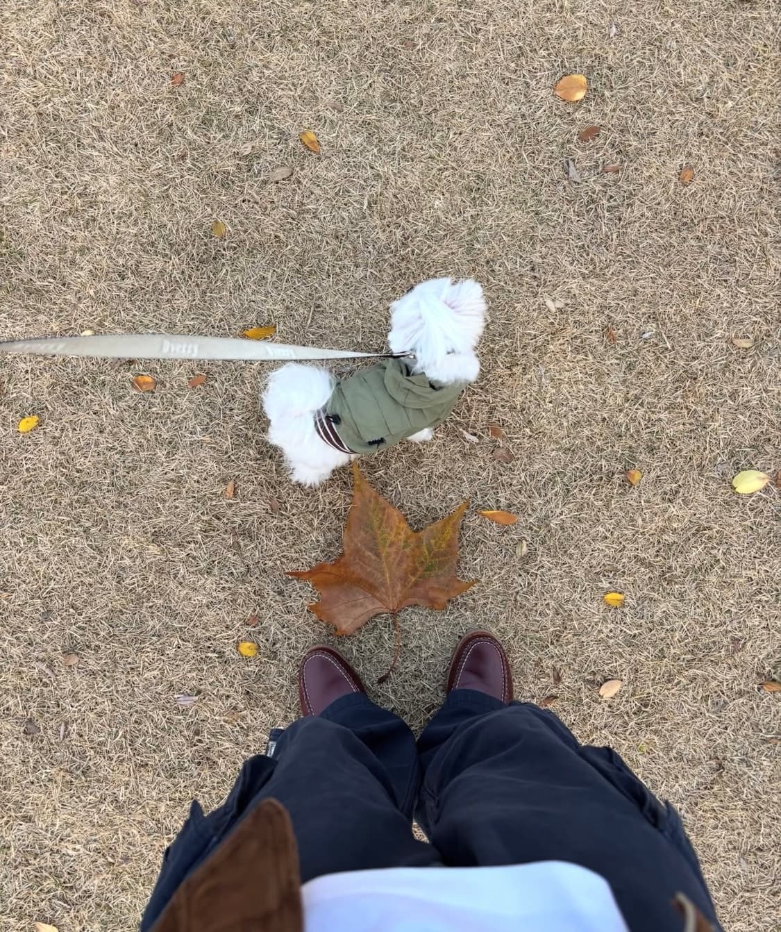 팀버랜드 보트슈즈 버건디 265 상품이미지10