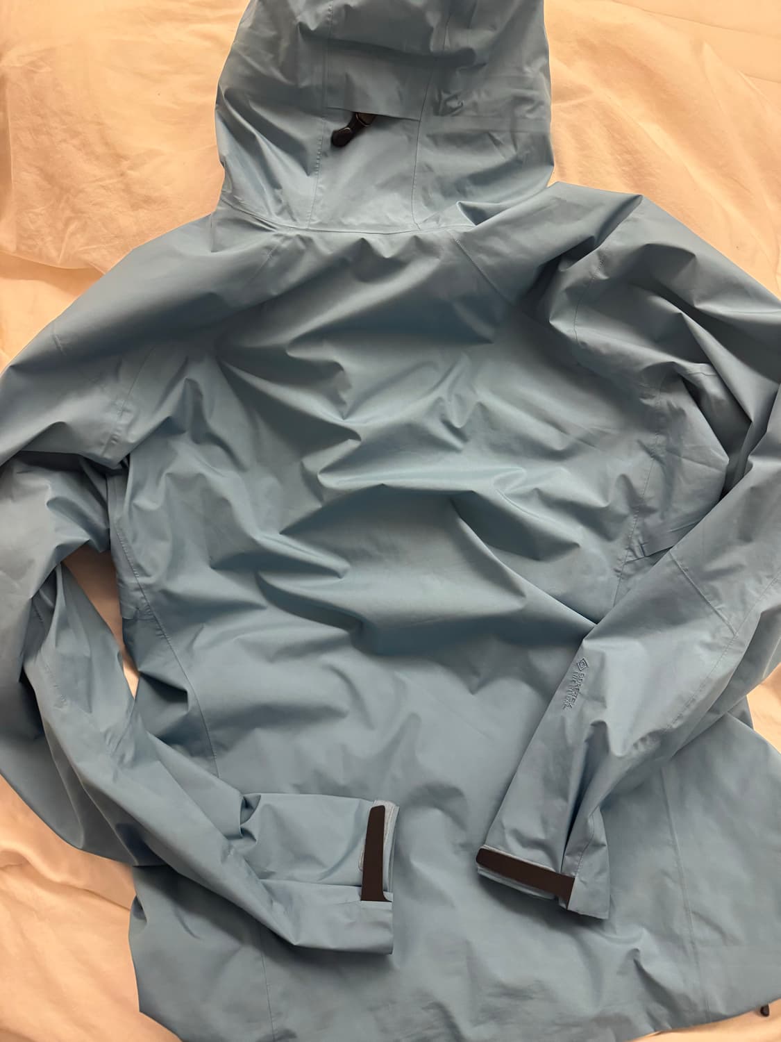 아크테릭스 카딘 후디 솔레스 L 상품이미지3