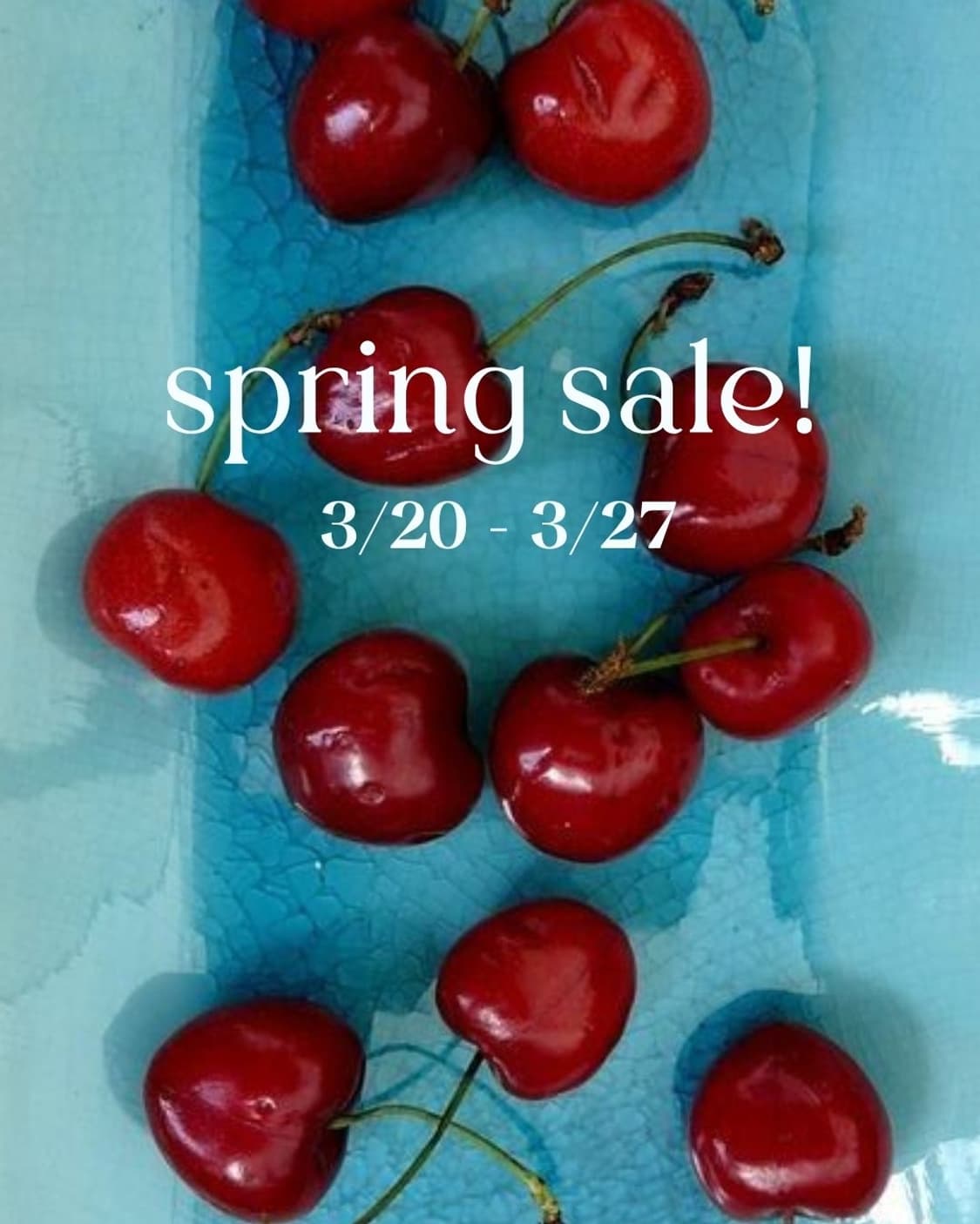 봄 세일 spring sale 상품이미지1