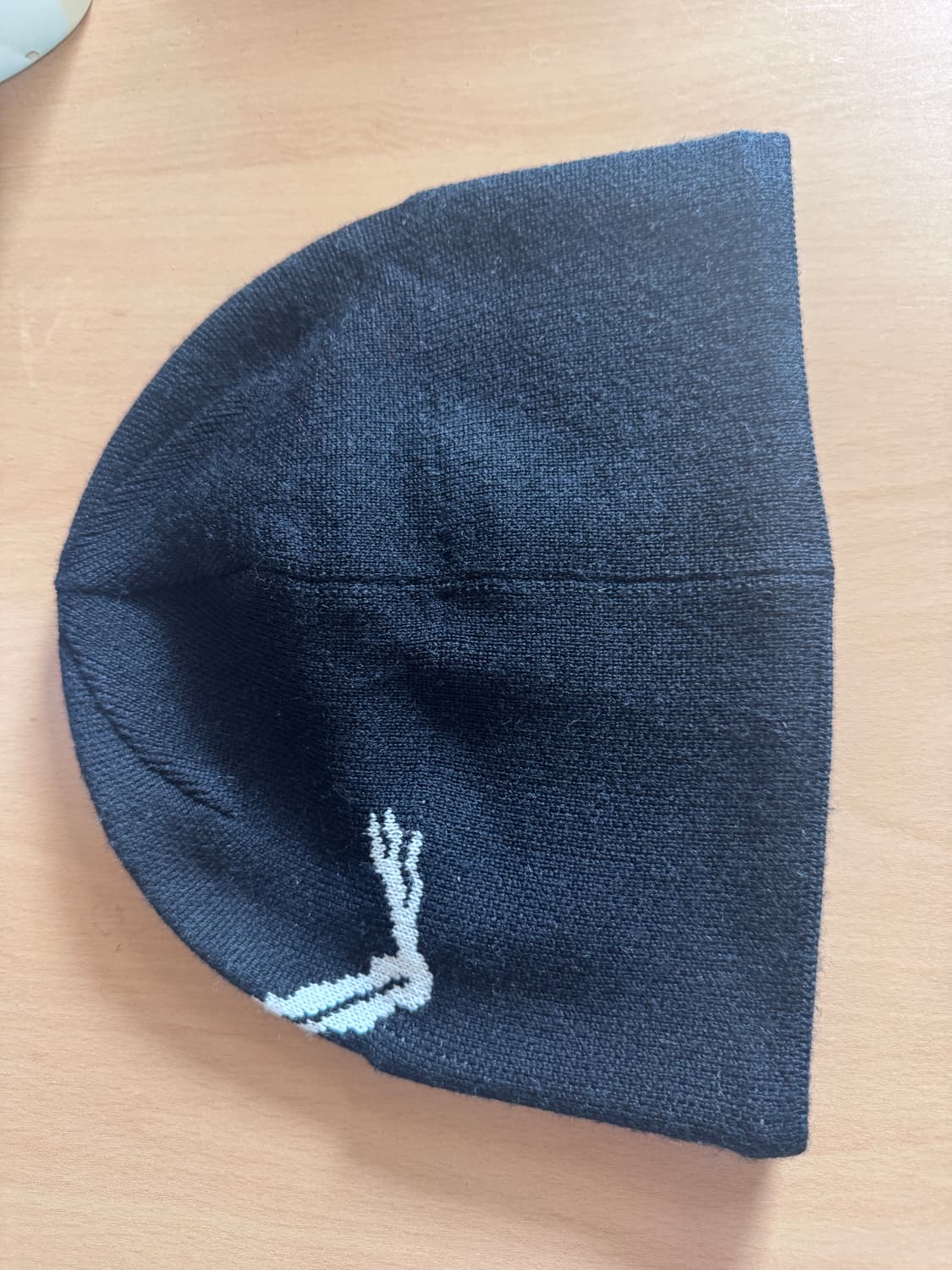 아크테릭스 비니 상품이미지2