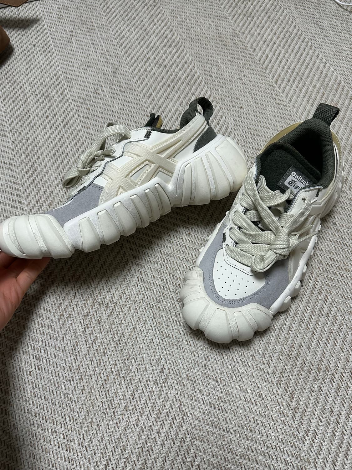 덴티그레 LS 1183B421_101 상품이미지9