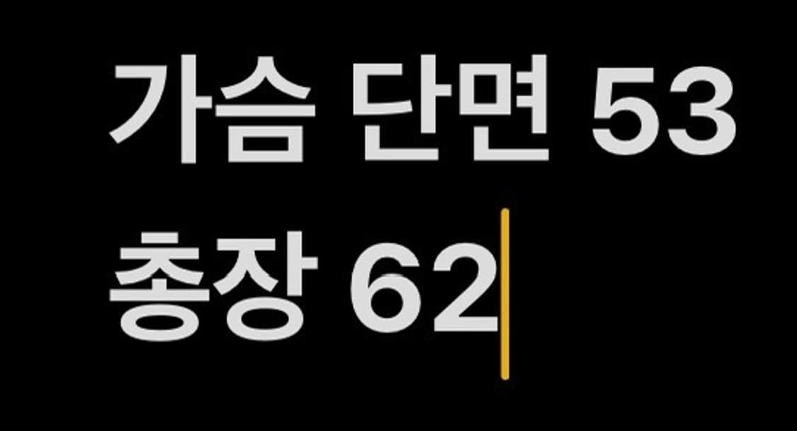 [ 정품/M ] 크로스보더 몬스터 빈티지 모터사이클 레이싱 자켓 b14 상품이미지8