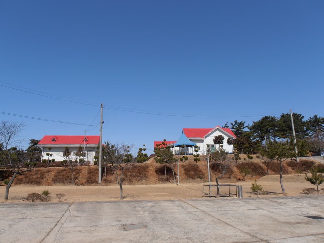 작례O ) 🍅 올림푸스 VR-320 OLYMPUS 🍅 상품이미지8