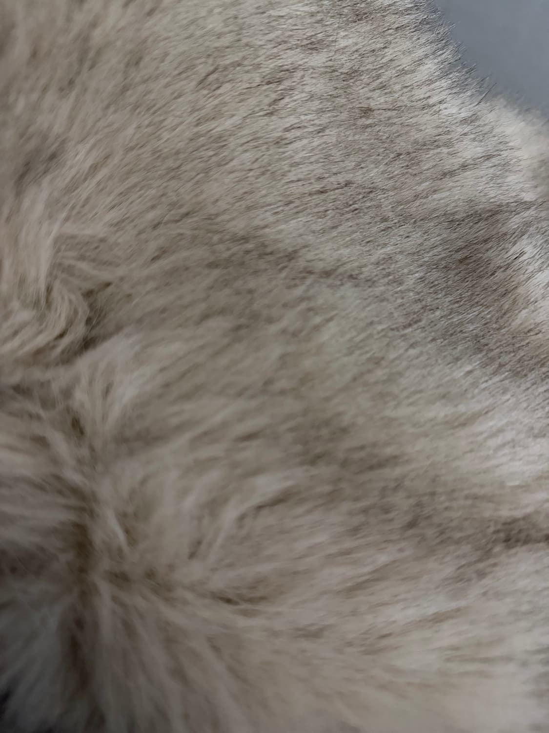 H&M 크롭 퍼자켓 상품이미지4