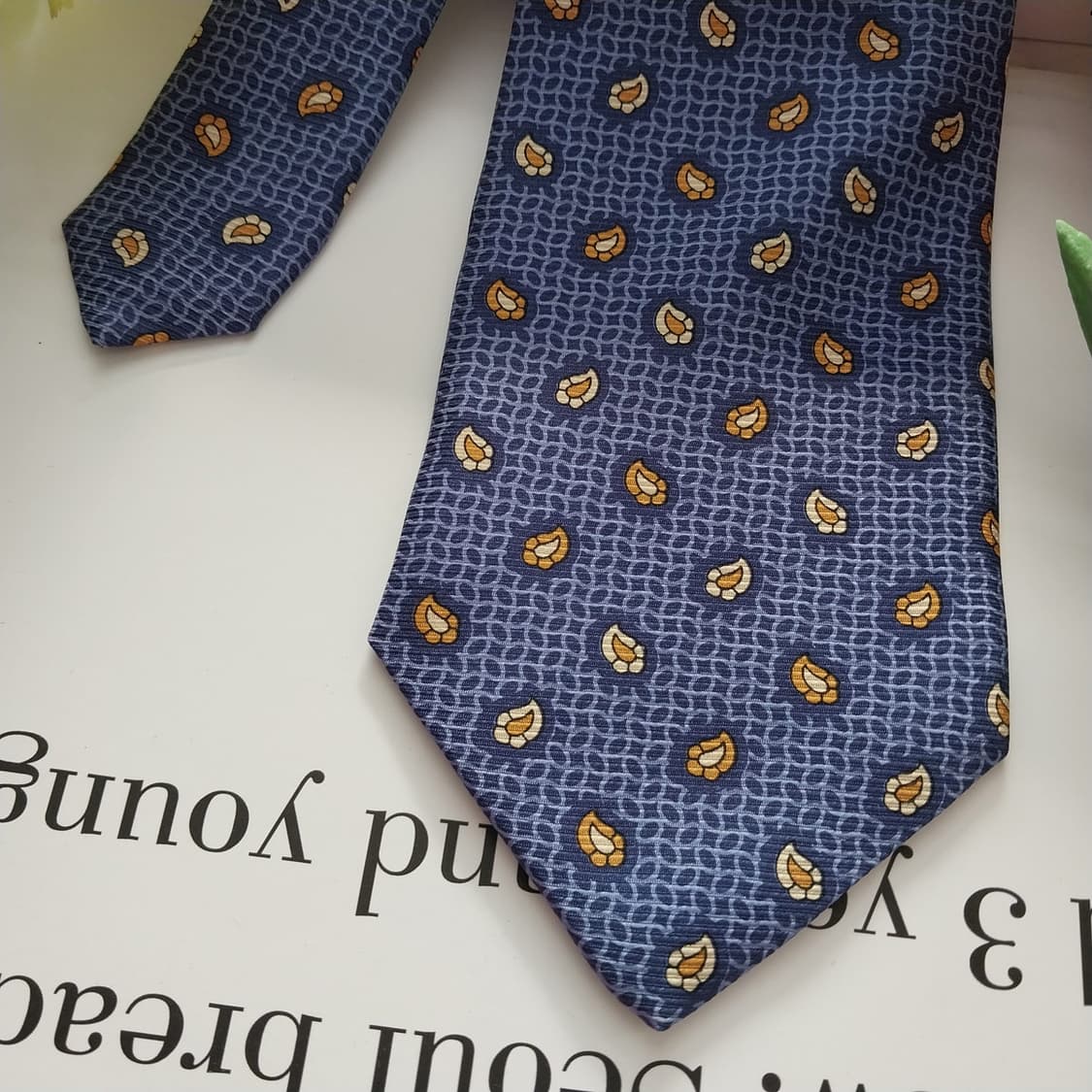 자크 에스티에 실크 블루 리프 패턴 넥타이 9.6cm 새제품 K1335
 상품이미지4