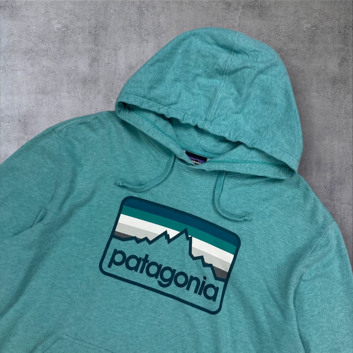 파타고니아 스카이 컬러 빅로고 후드티 상품이미지2