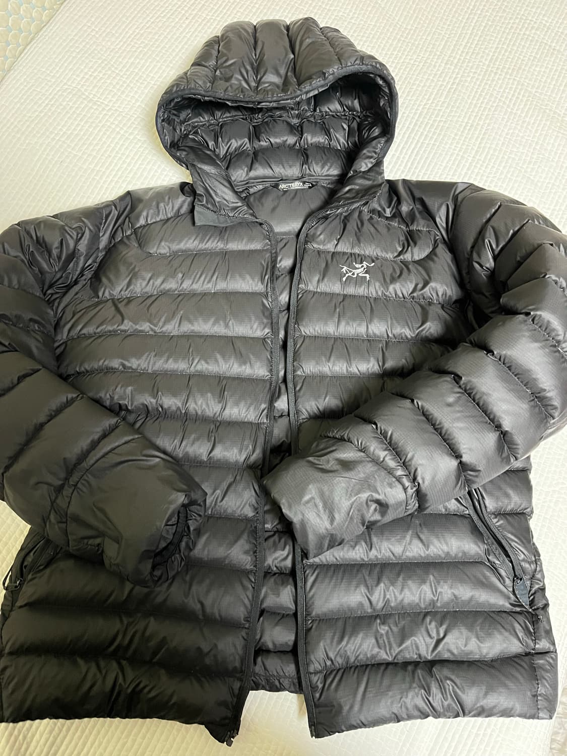 아크테릭스 세륨 상품이미지2