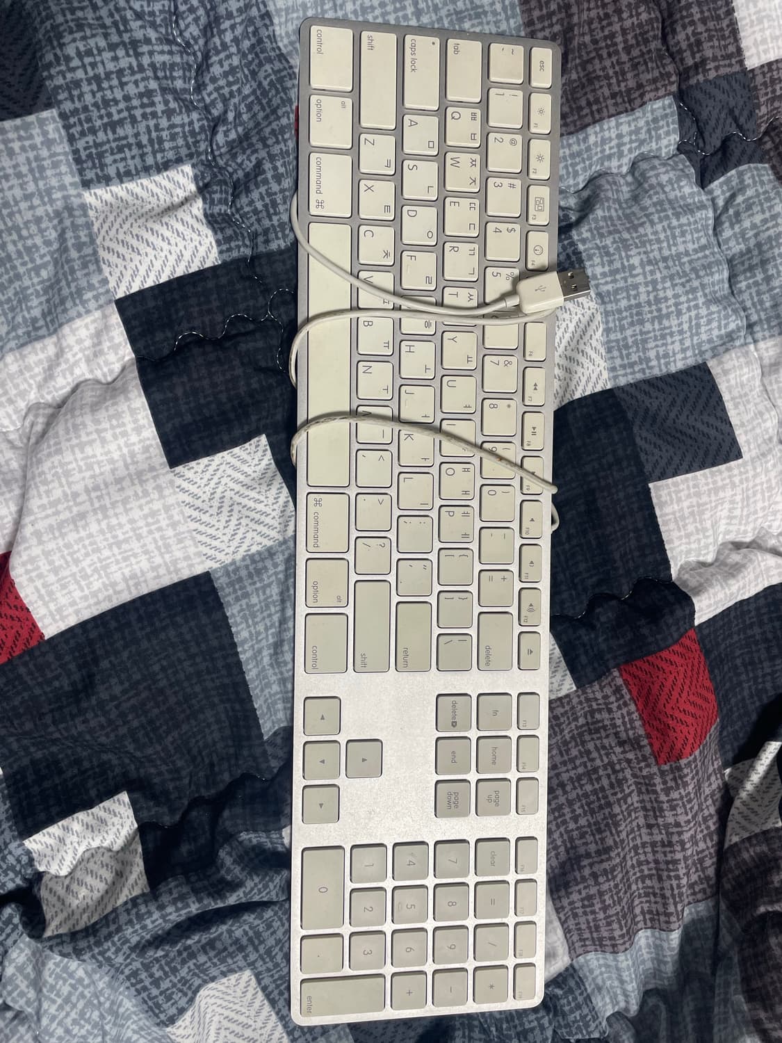 애플 유선 키보드 상품이미지1