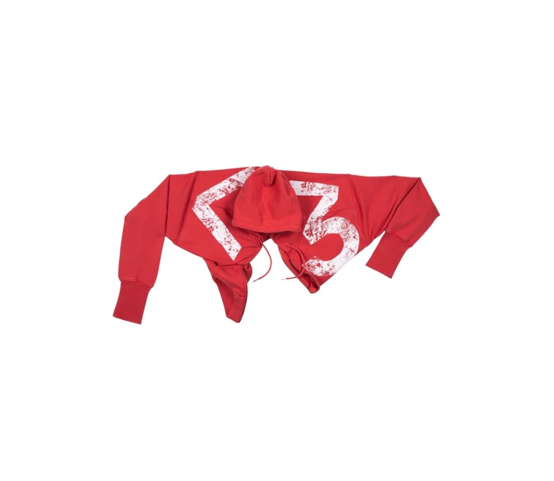 VAIN 베인 RG ZIP HOODIE RED M  상품이미지3