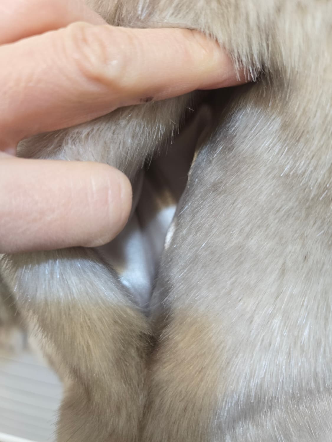 페이크퍼 후드베스트 상품이미지4