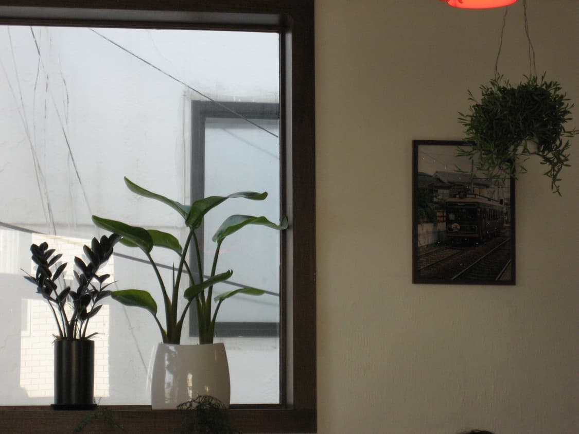 미품, 민트급) 캐논 익시 70 / 익서스 60 상품이미지8