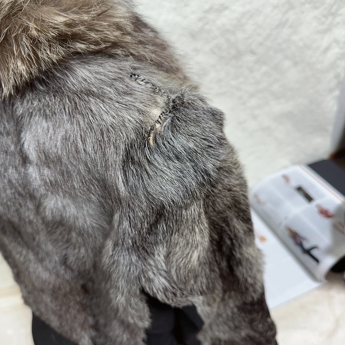 빈티지 은여우털칼라 염소쌔끼털 되지가죽자켓 상품이미지3