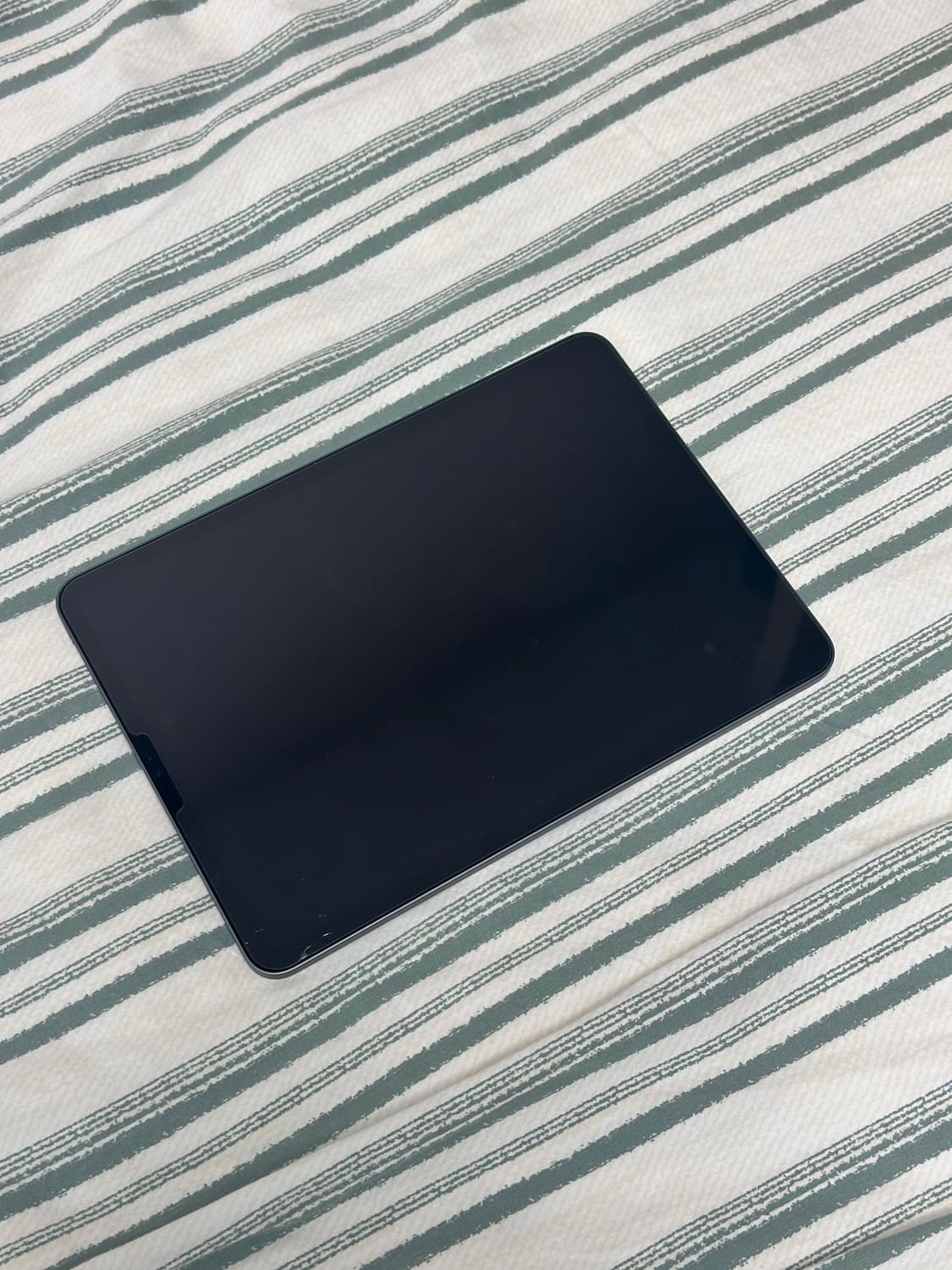 아이패드 프로 11 m1  상품이미지1