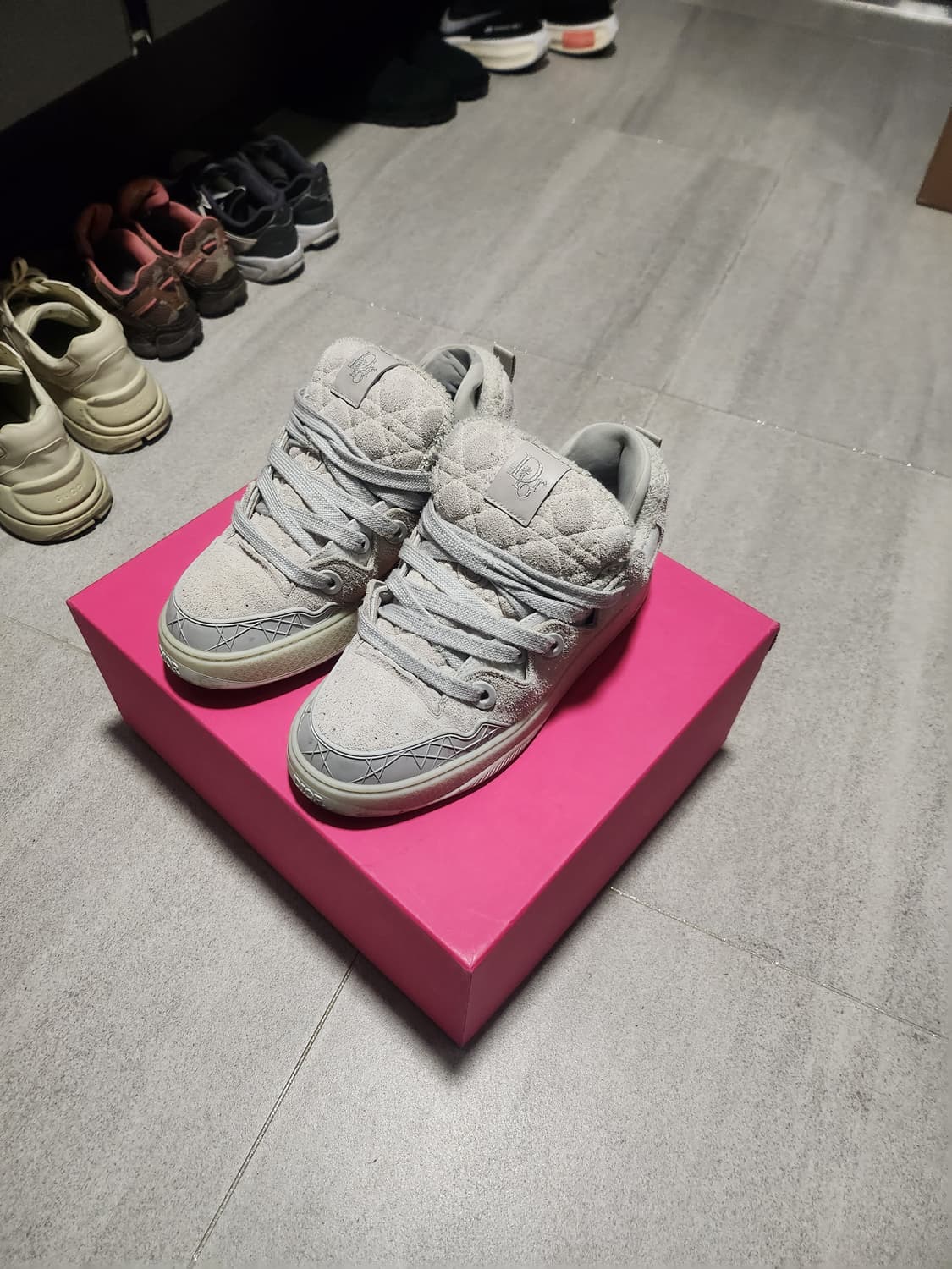 디올 ERL 신발 상품이미지1