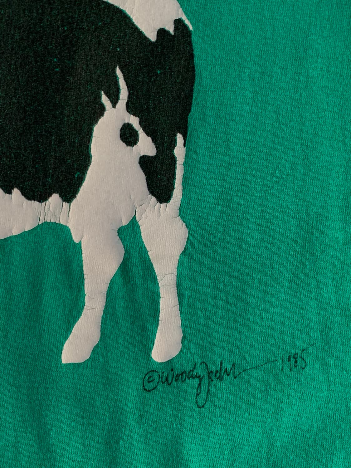 90s 벤앤제리스 프로모션 티셔츠 상품이미지6