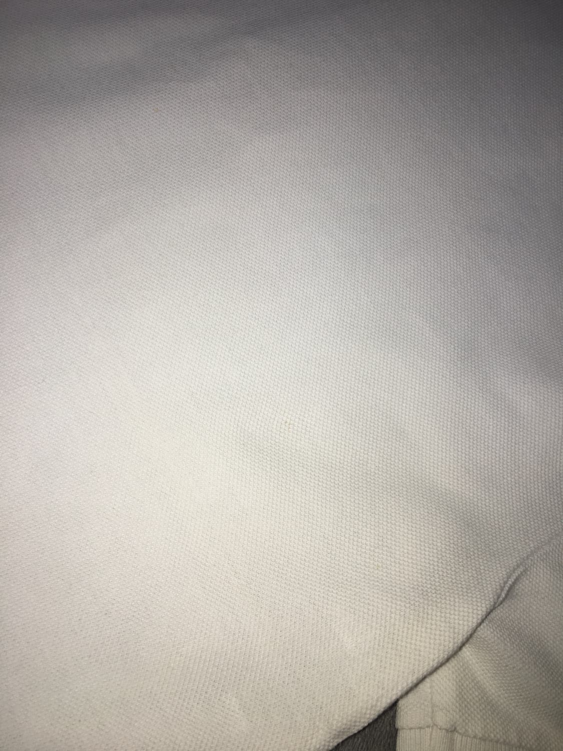 폴로 랄프로렌 빅포니 화이트 상품이미지4