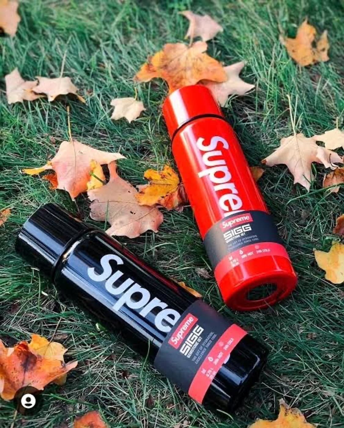 슈프림 x SIGG 텀블러 보온병 레드 새상품 상품이미지3