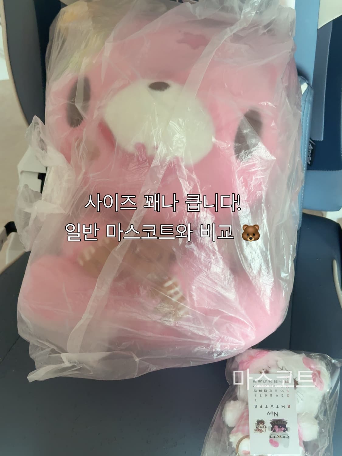 글루미베어 SWEETS&MESSY PARTY 점보 누이구루미 한요우사기 상품이미지2