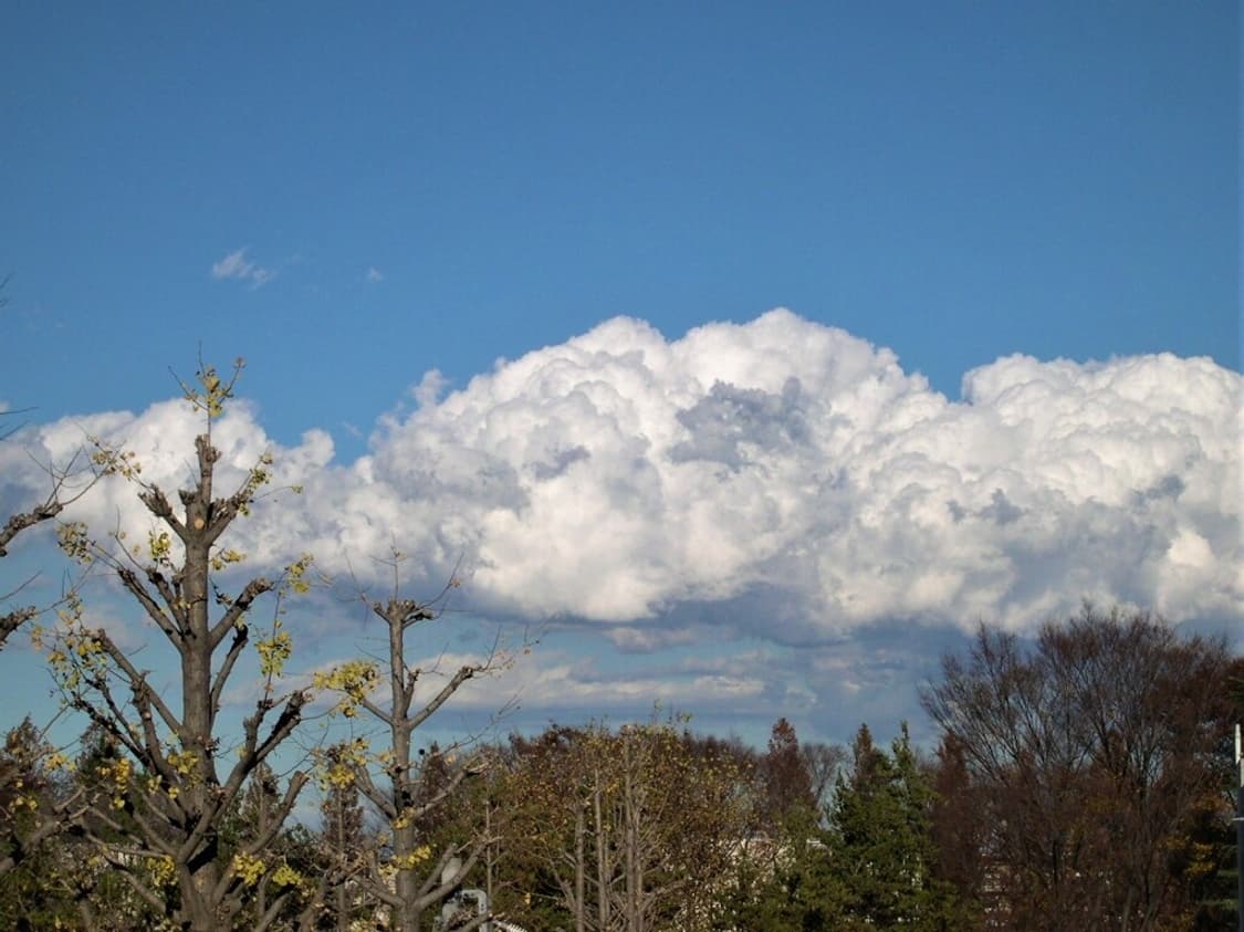 니콘 Nikon Coolpix 4300 블랙 상품이미지3