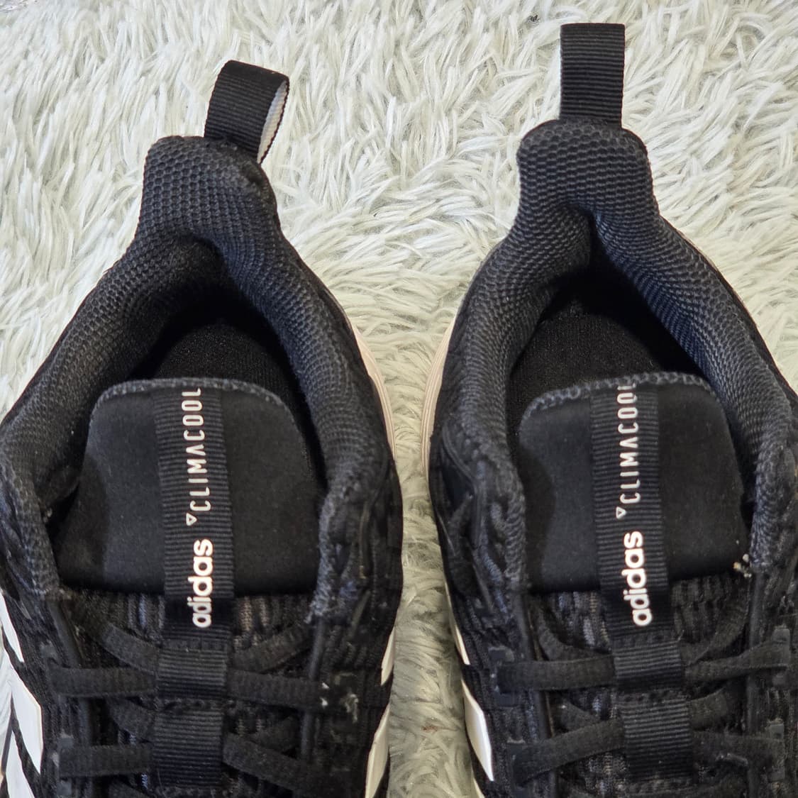 5x-10:아디다스 퀘스타CC(Adidas Questar CC)-245 상품이미지9