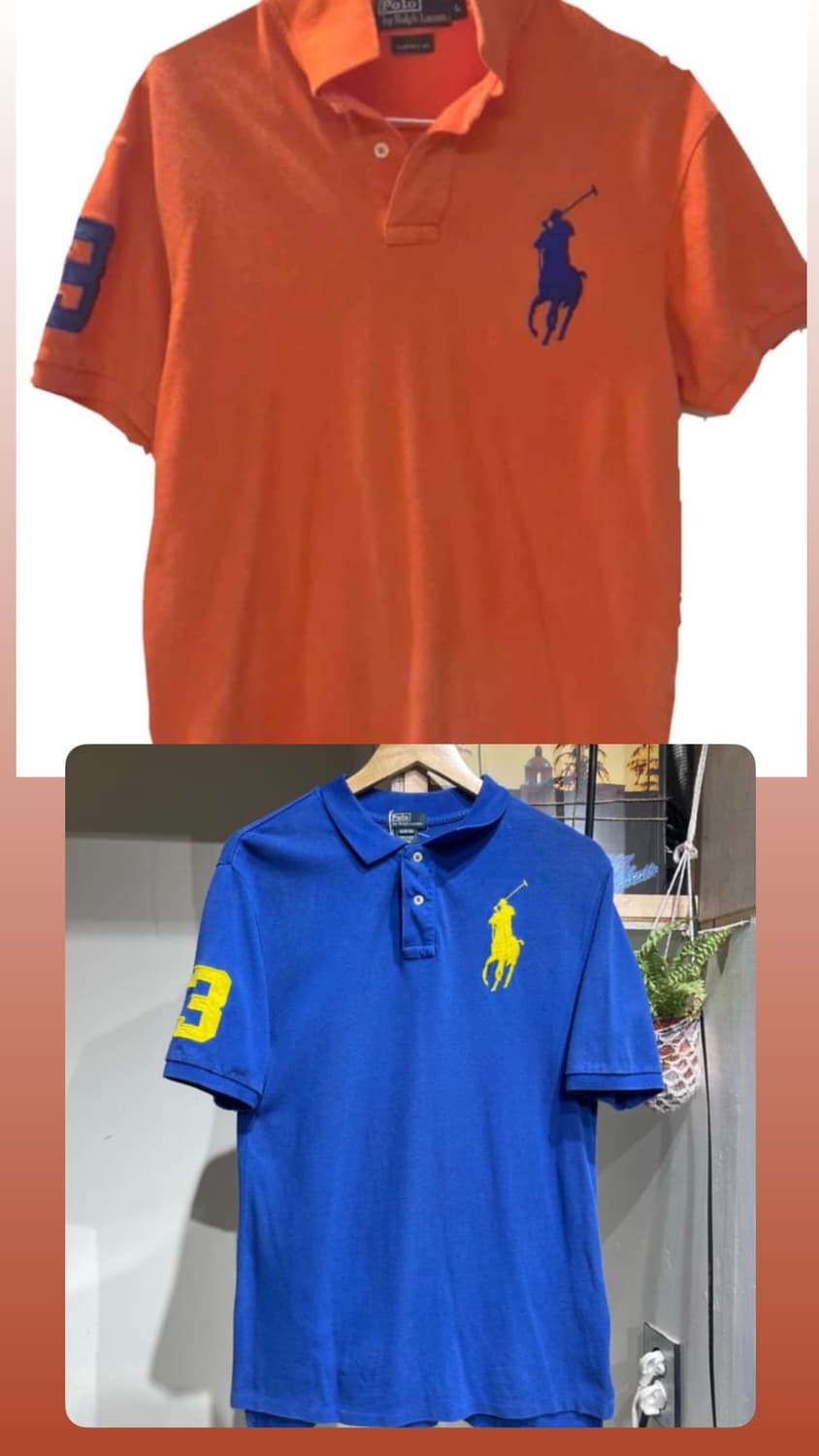 폴로 빅포니 카라티 일괄6 상품이미지1