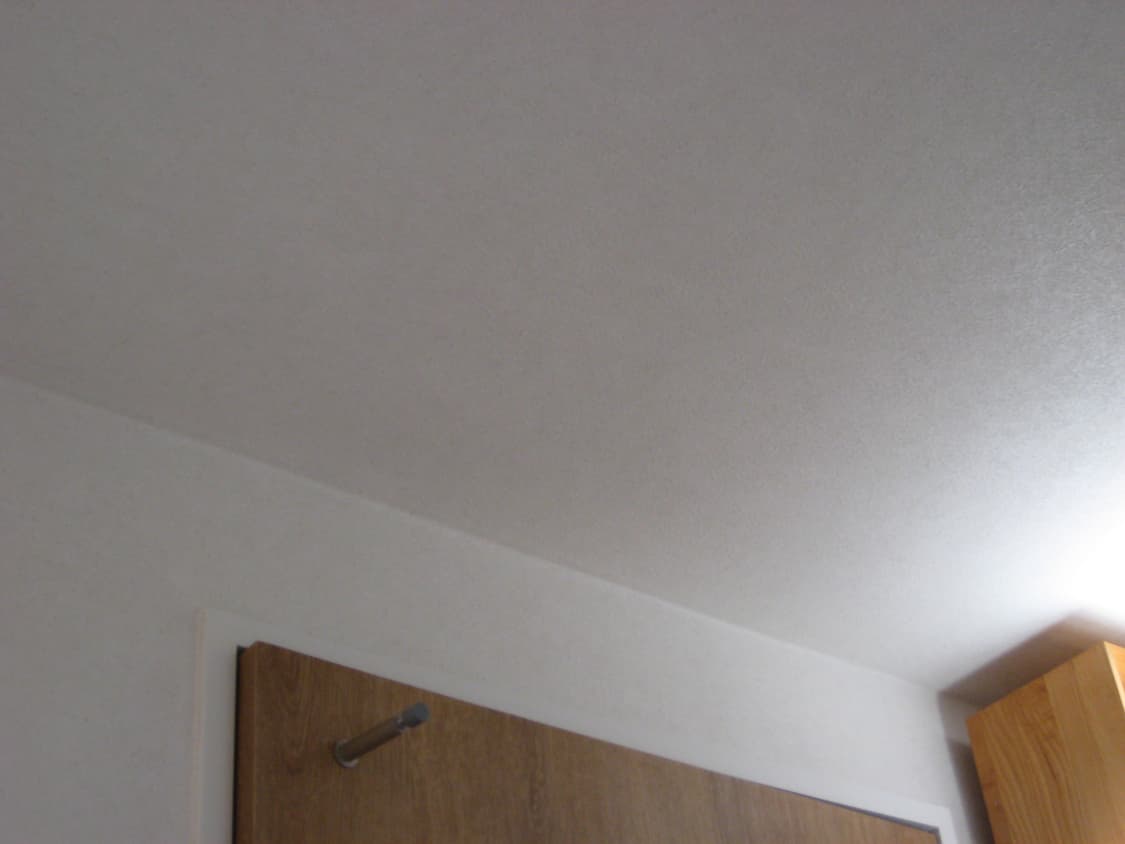 캐논 익시 디지털 10(익서스 70 일본 모델) 실버 (이체 시 할인) 상품이미지9