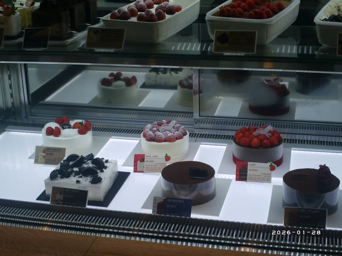 빈티지 디카 캠코더 exemode DV570 작례 있음 상품이미지6