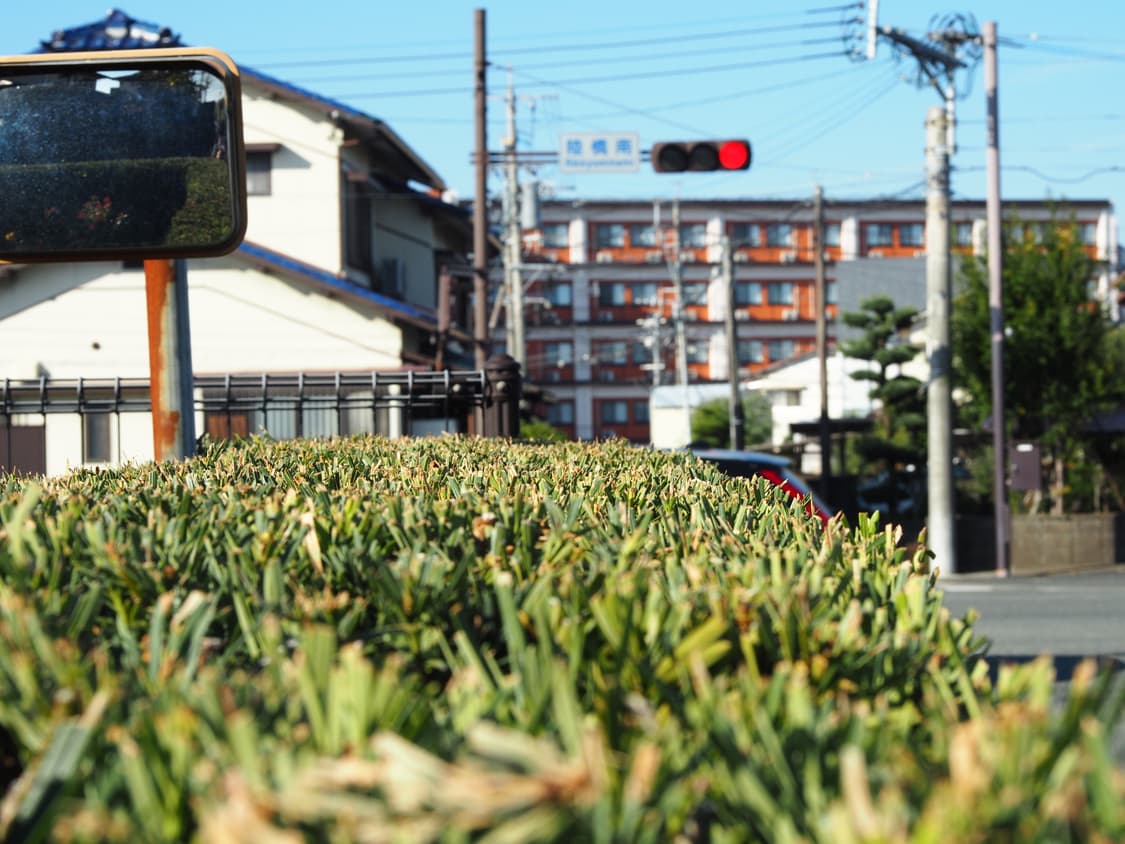 올림푸스 OM-D E-M5 Mark II 급처합니다. 상품이미지10