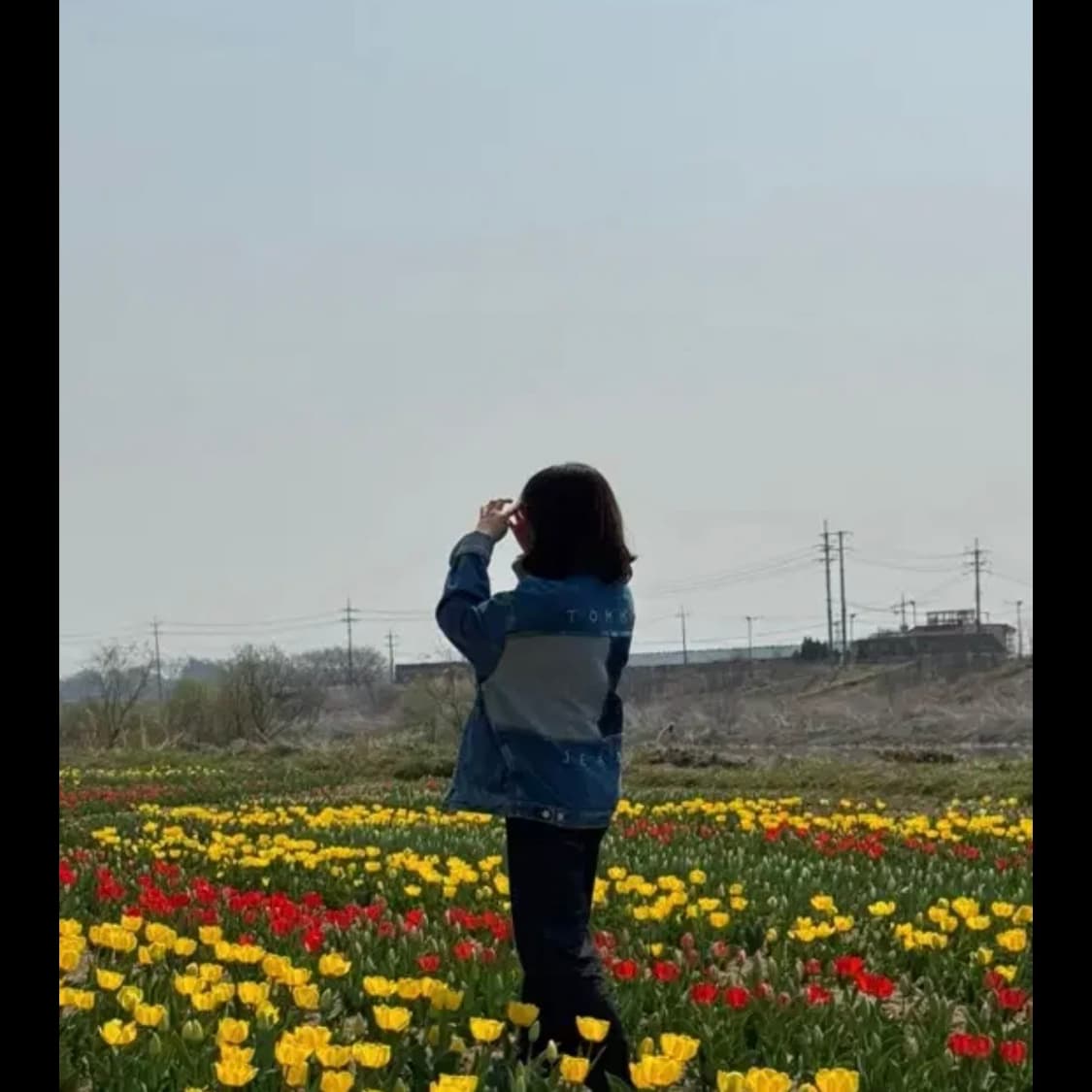 타미진스 에이든 플래그 데님 자켓 오버핏 S사이즈 상품이미지5