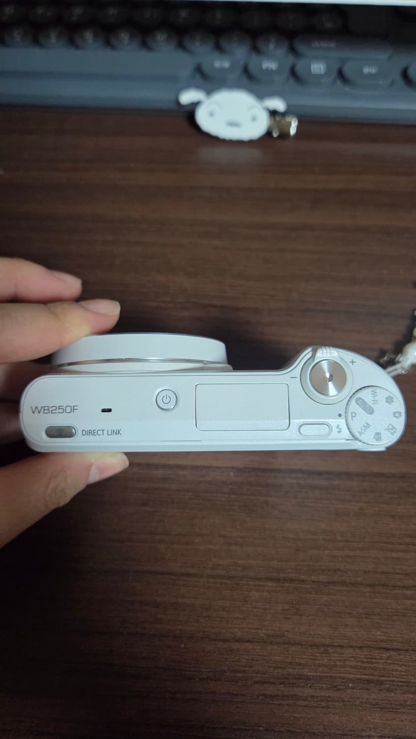 18배줌 고성능) 삼성 wb250f 디카 디지털카메라 상품이미지6