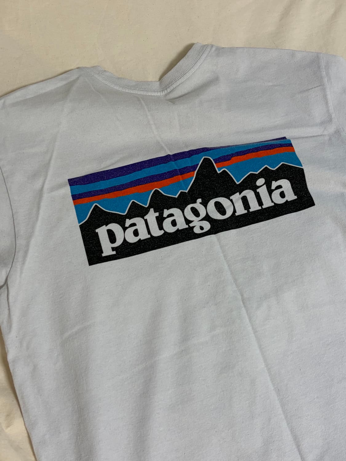 파타고니아 반팔 상품이미지1
