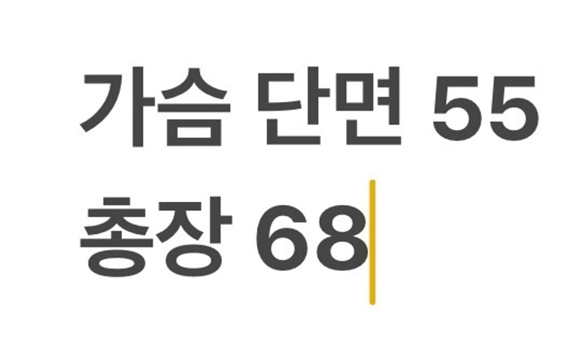 [ 정품/95 ] 노스페이스 경량 패딩 b16 상품이미지9