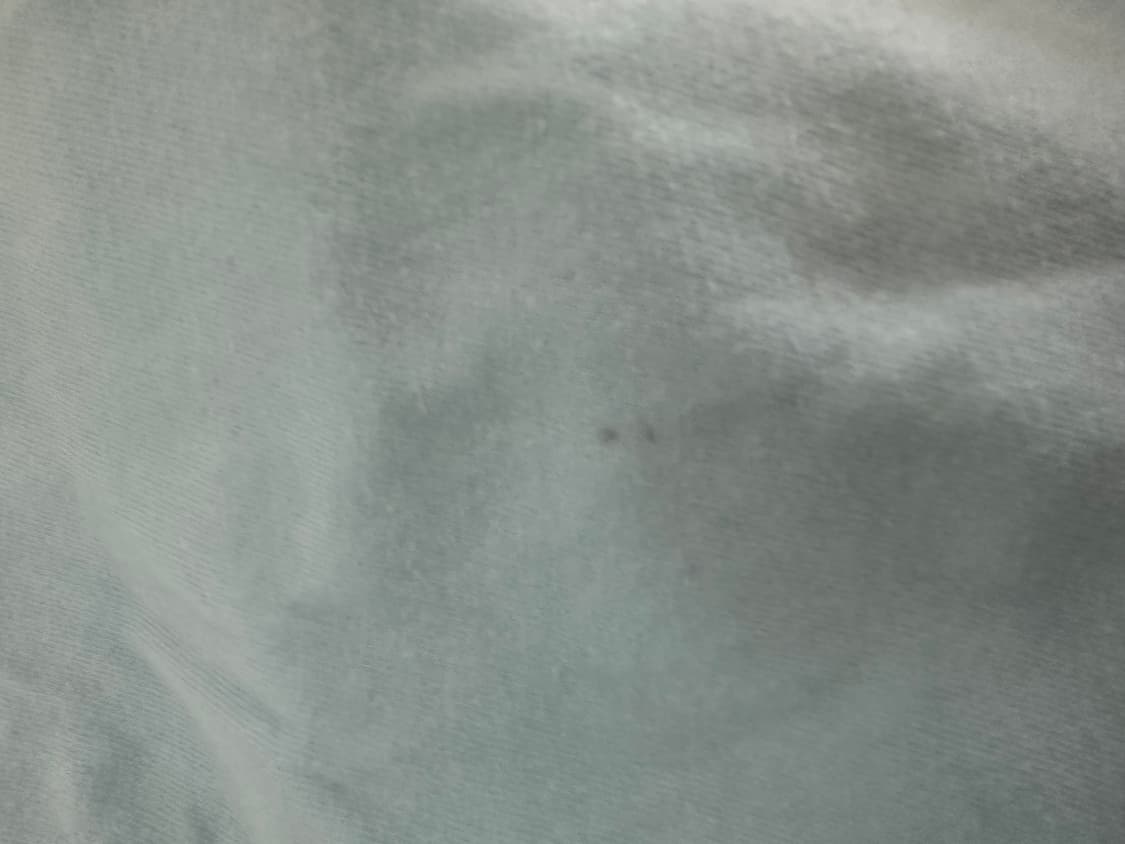 샬롬클럽 퓨로 반팔티 상품이미지6
