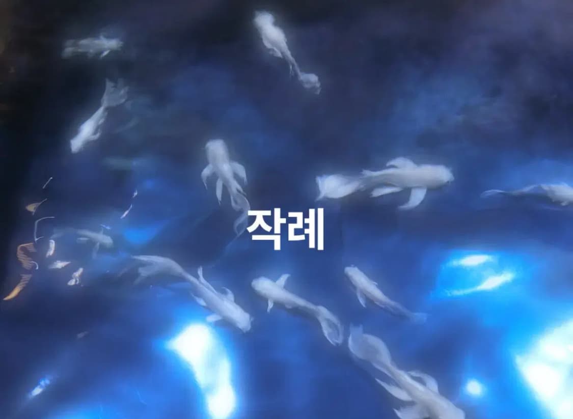카시오 엑슬림 ex-zr70 디카 디지털카메라 2r50 exilim 상품이미지4