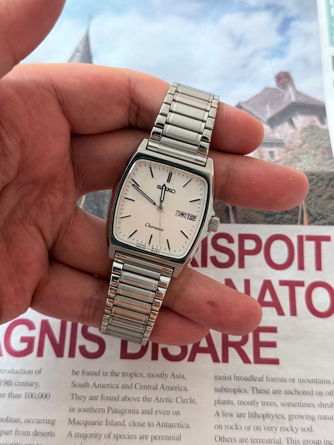 세이코 Seiko Chronos 스퀘어 데이 데이트 상품이미지3