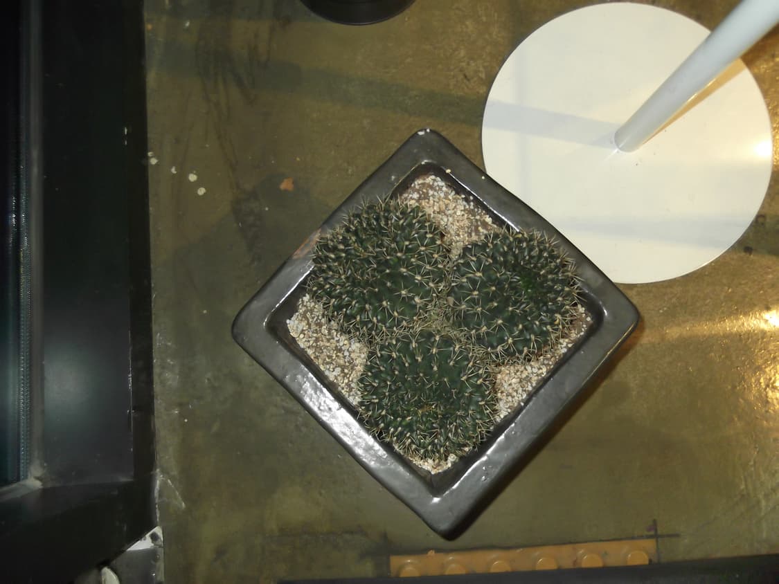 New배터리/한글)후지필름 파인픽스 T300 건메탈 빈티지디카 상품이미지10