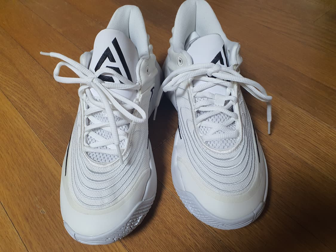 나이키 야니스 화이트 250 상품이미지1