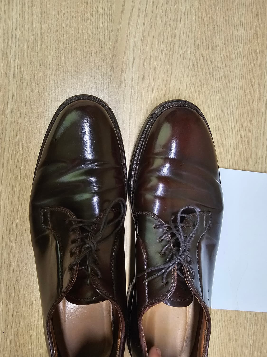 알든 alden 990 9D 상품이미지4