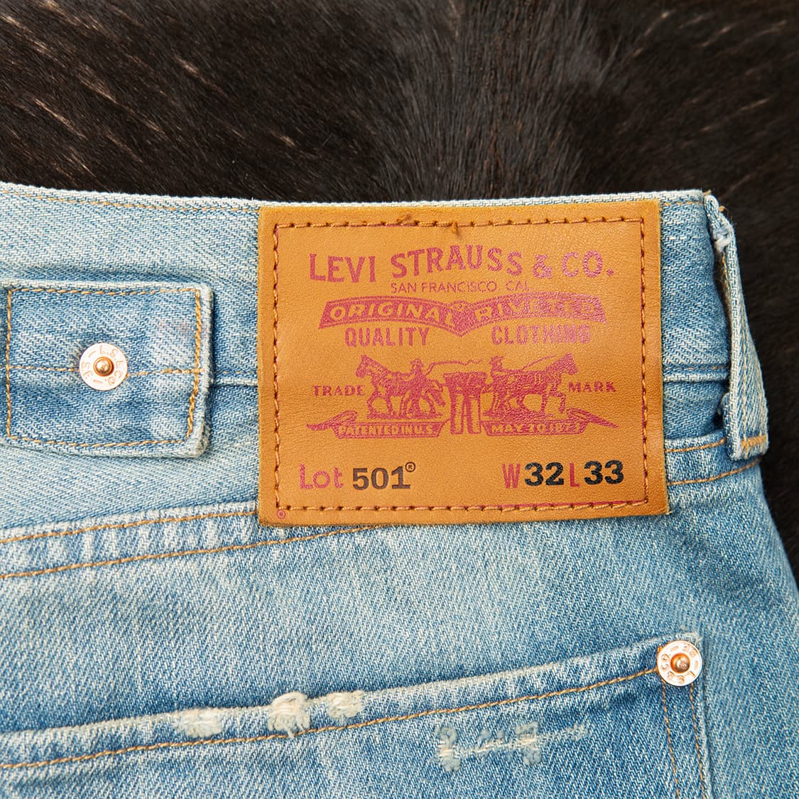 [34] 리바이스 1901 스페셜 에디션 501 데님팬츠  상품이미지7
